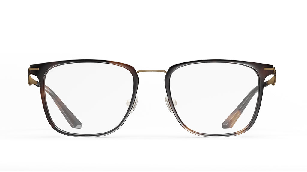 Tortoiseshell